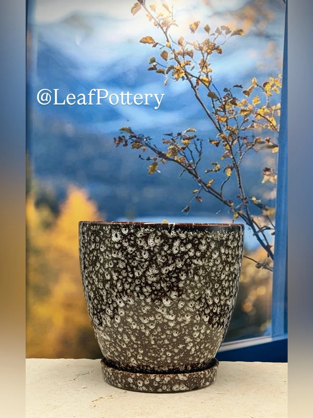 8 Inch Ceramic Planter with Attached Saucer & Drainage Hole | Speckled Brown Pot